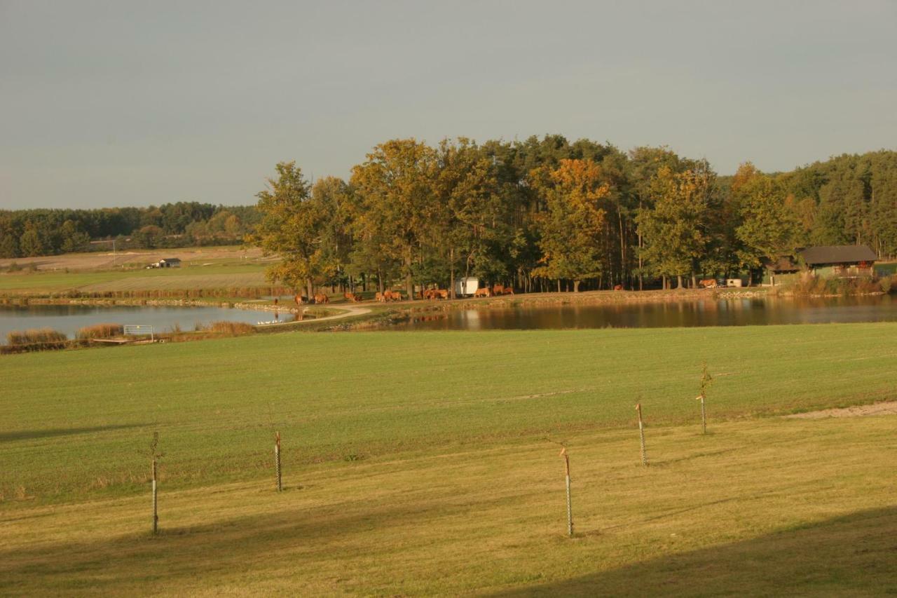 Haeusla Villa Dannberg Exterior photo